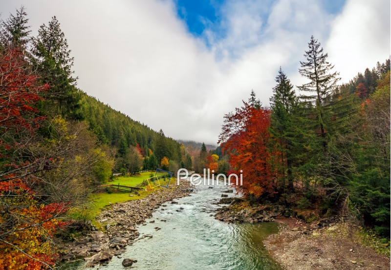 gorgeous autumn countryside landscape. river with rocky shore among forest with colorful foliage under the cloudy sky