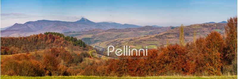gorgeous autumn countryside panorama in mountains. forest with red foliage on rolling hills, village in valley and mountain ridge with high peak in a distance. Beautiful landscape in Carpathians