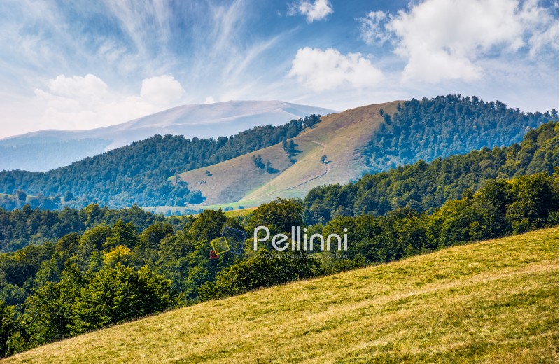 gorgeous early autumn landscape in mountains under blue sky with spectacular cloud formations. multi layered scene with meadow and forest on hillside and a hill with ridge in far distance