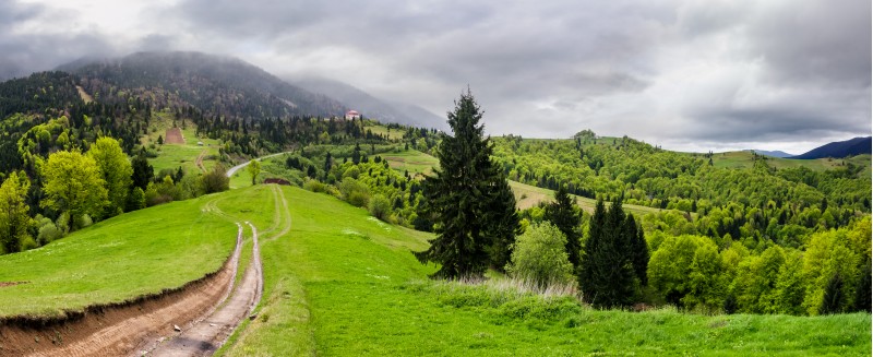 gorgeous countryside of Carpathian mountains. beautiful springtime scenery on a cloudy day. country road runs down the grassy hillside.