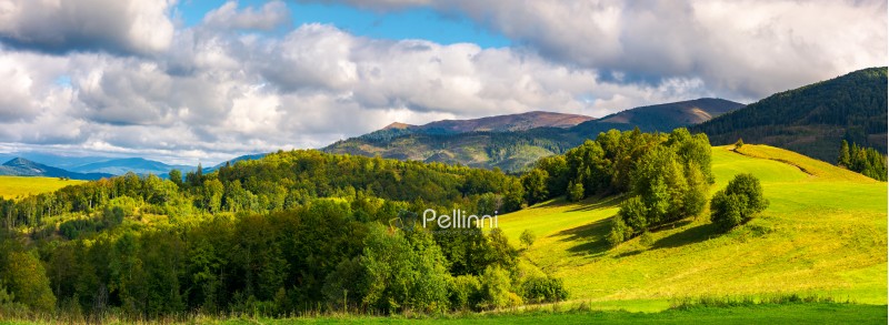 gorgeous panorama of mountainous landscape. woods and grassy alpine meadow in evening light. distant ridge banath a heavy cloud on a blue sky