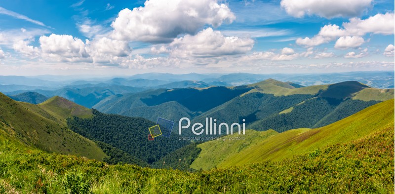 gorgeous panorama of mountains on fine summer day. fluffy clouds on a blue sky