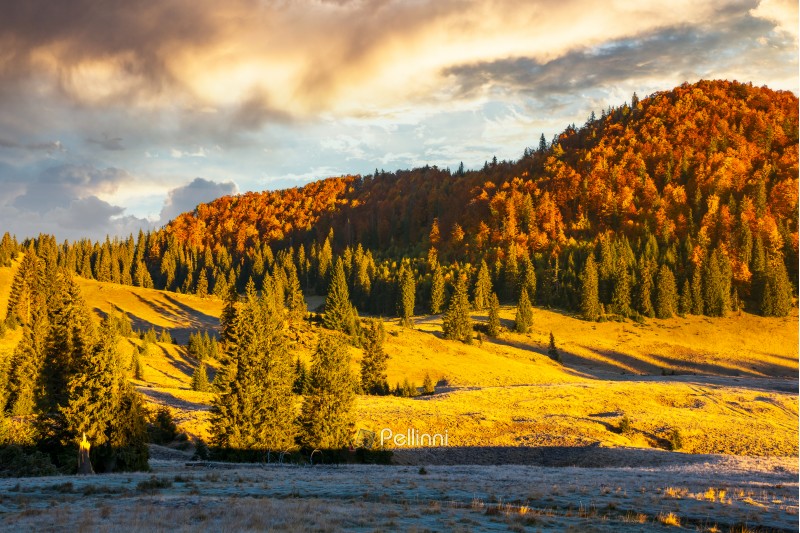 gorgeous sunrise in mountains. forest in fall color. distant mountain lit by rising sun. meadow in golden light