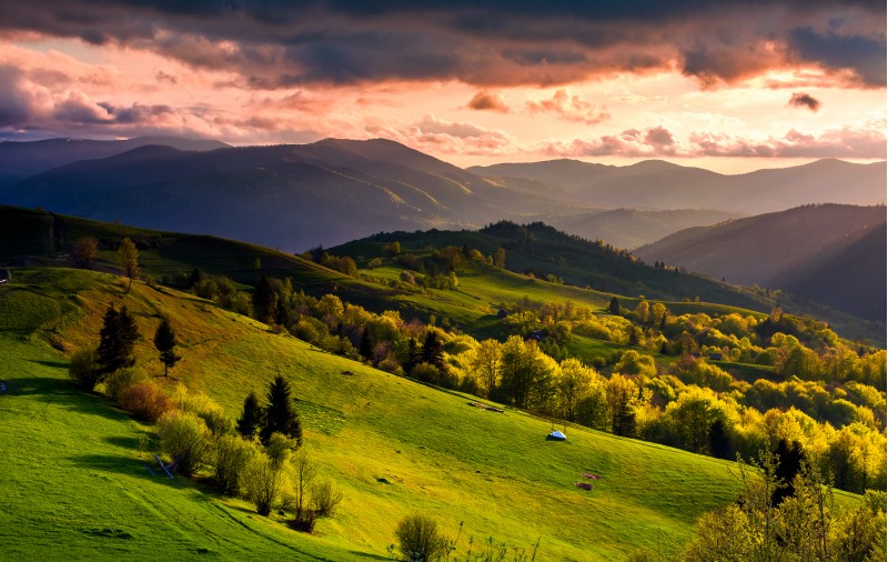 gorgeous sunset over Carpathian mountains. beautiful countryside with forested rolling hills and grassy rural fields. spectacular reddish cloudy sky