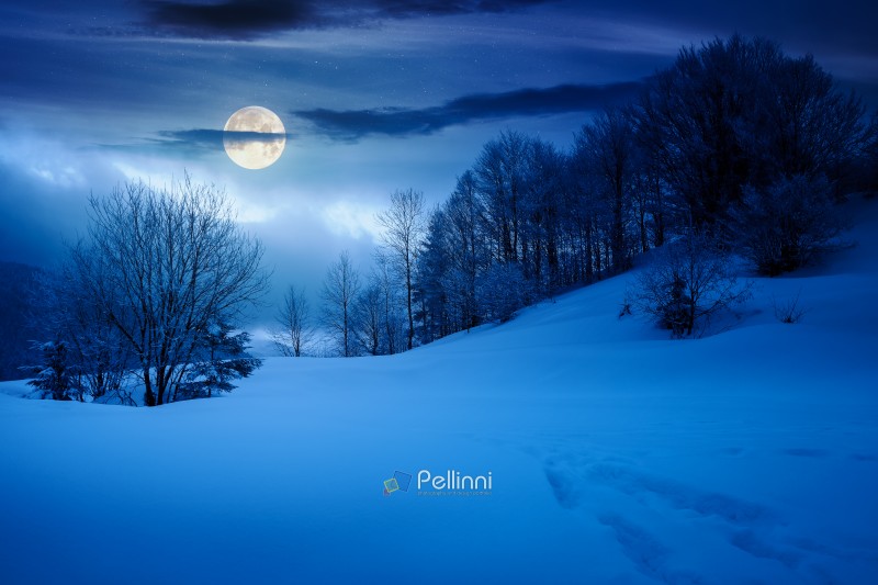gorgeous winter landscape in mountains at night. beautiful trees in hoarfrost on snow covered hill in full moon light. glowing overcast sky. inner strength to overcome fear, loneliness in darkness