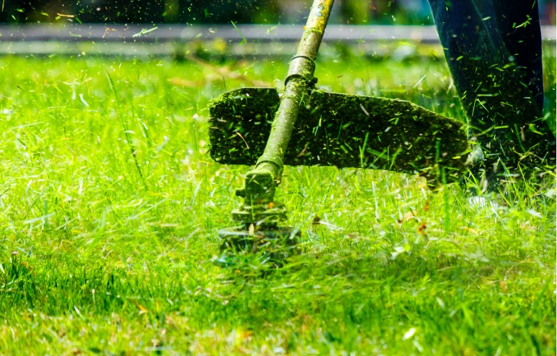 grass cutting in the garden with trimmer. lovely nature background