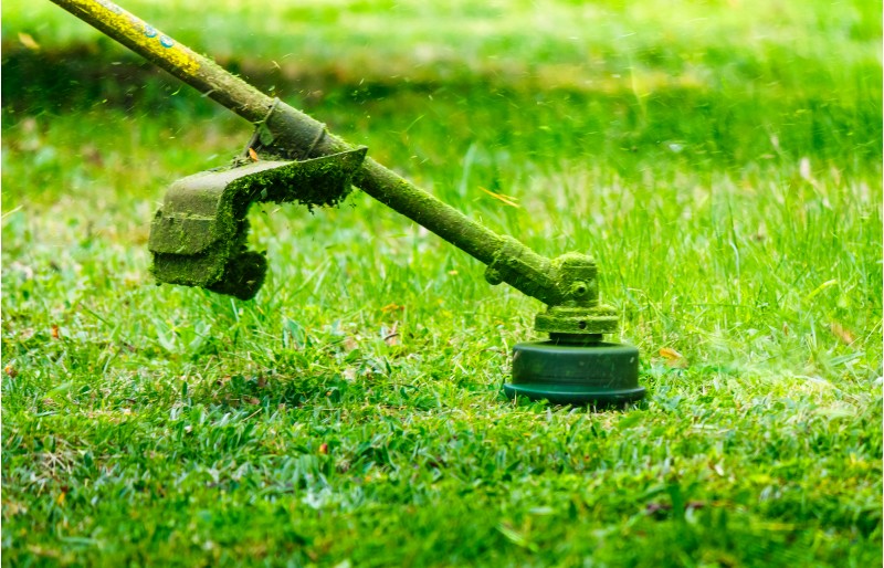 grass cutting in the garden with trimmer. lovely nature background