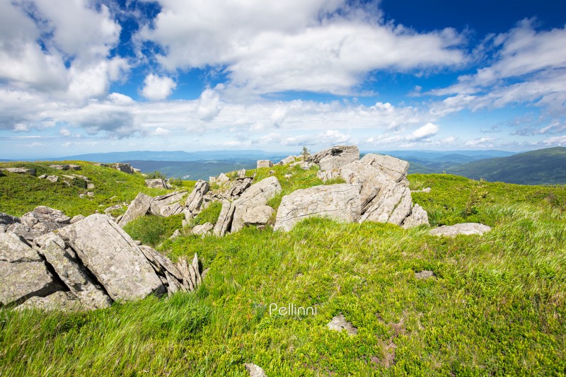 grassy alpine meadow in carpathian mountain landscape. sharp roc grassy alpine meadow in carpathian mountain landscape. sharp rocks and huge boulders among lush green grass on rolling hills. open space scenery for wanderlust and exploration on a sunny day