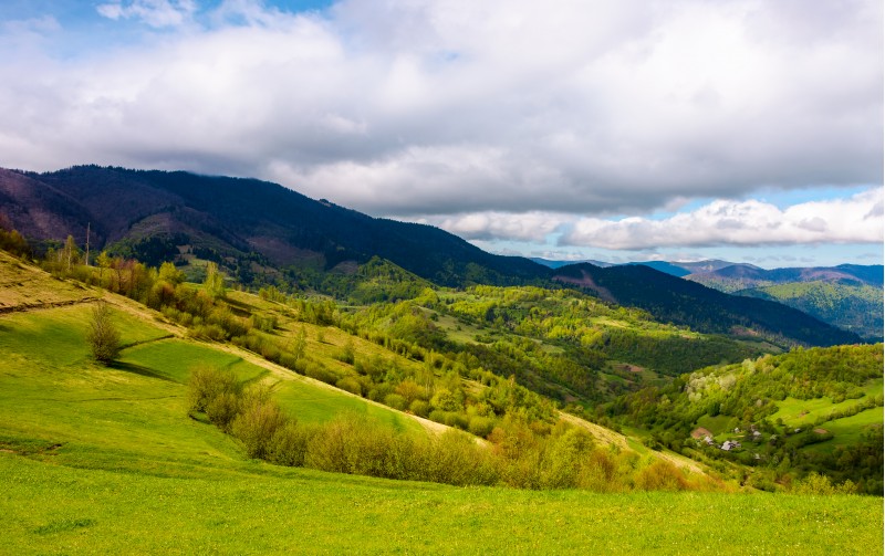 grassy fields in mountainous rural area. lovely springtime scenery on a cloudy day
