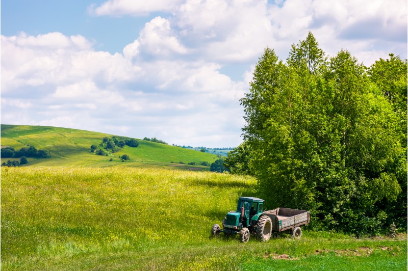 grassy fields on rolling hills in summer. beautiful countryside scenery in Carpathian mountains under the blue sky with white fluffy clouds. green tractor near the stands forest