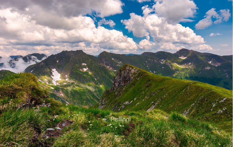 grassy hill on rocky cliffs of Fagaras mountains. beautiful summer landscape of Southern Carpathians, Romania