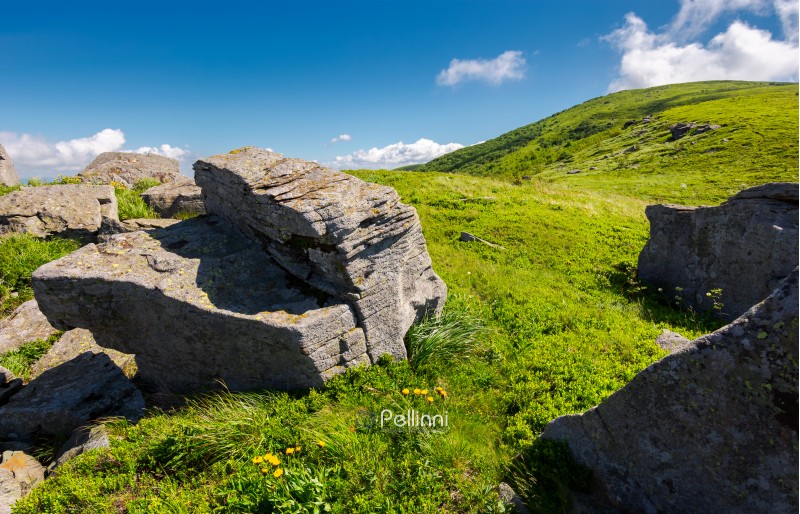 grassy hill side with boulders. beautiful summer scenery in mountains