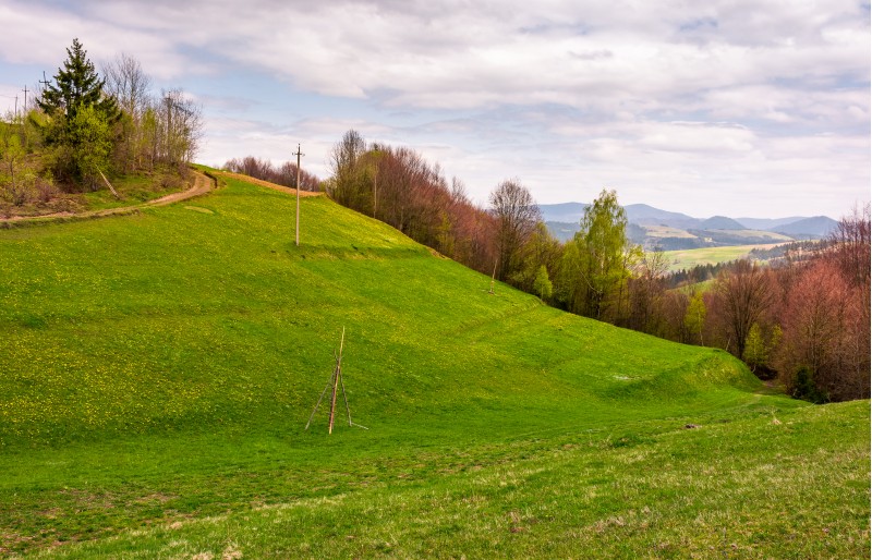 grassy hills of mountainous rural area. beautiful countryside landscape in springtime on a cloudy day