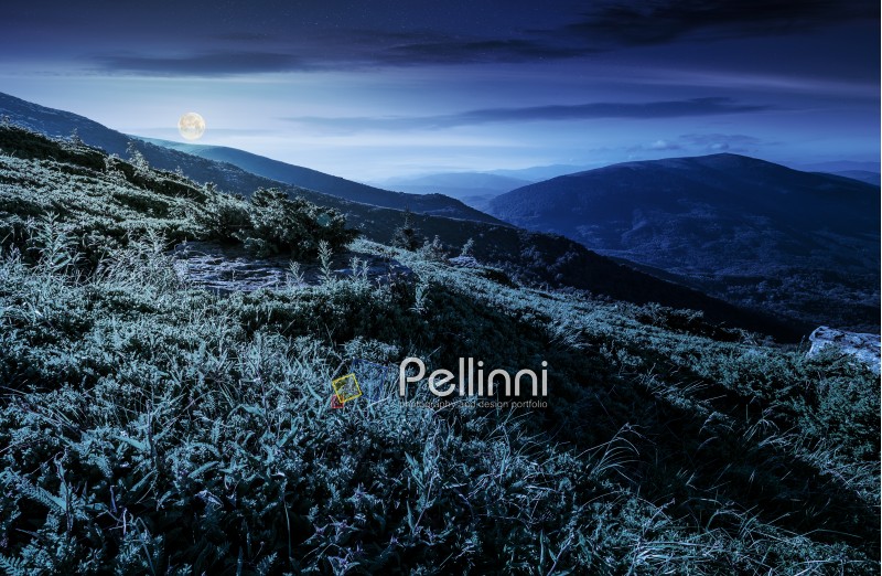 grassy meadow on hillside of mountain ridge at night in full moon light. wonderful Carpathian landscape