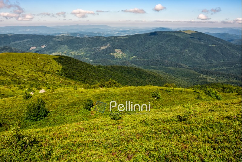 grassy hillside of Carpathian mountain range. beautiful mountain scenery in summer time