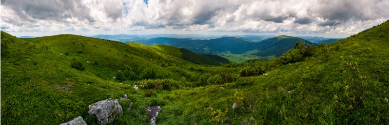 grassy hillside of Carpathians on overcast day. gorgeous panorama with rolling hill and mountain ridge in the distance. popular tourist destination - Runa mountain, TransCarpathian region Ukraine