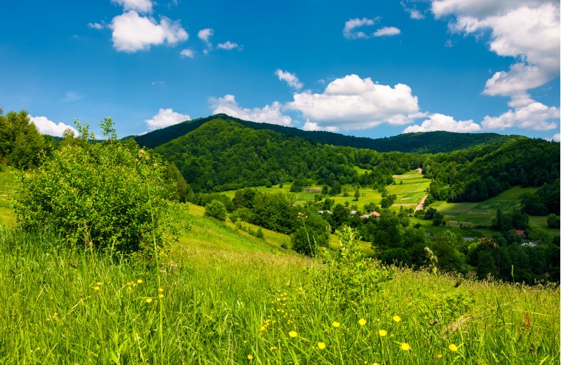 grassy hillside of mountainous countryside. lovely summer scenery with village in a green valley
