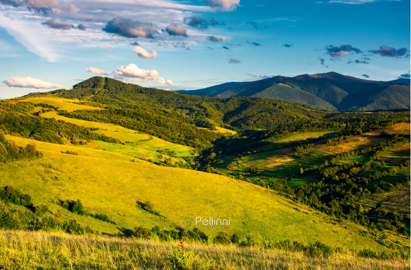 grassy hillsides in high mountains in afternoon. beautiful summer landscape with Borzhava mountain ridge in the distance
