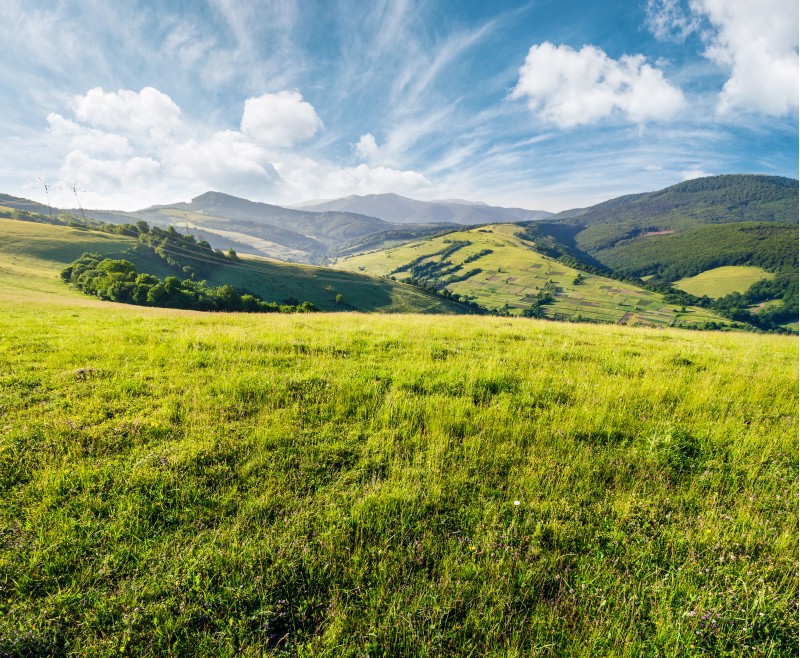 grassy meadow in mountains. beautiful summer countryside under the gorgeous sky