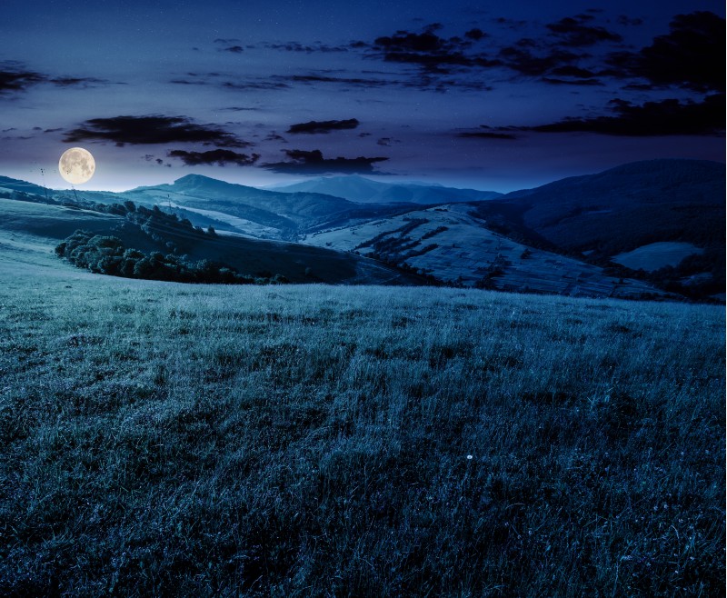 grassy meadow in mountains at night. beautiful summer countryside under the gorgeous sky