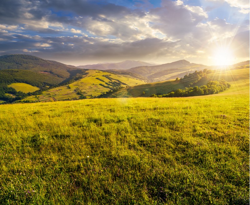 grassy meadow in mountains at sunset. beautiful summer countryside under the gorgeous sky