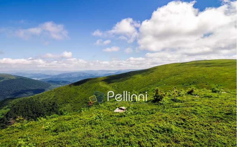 beautiful summer landscape. green grassy meadow on a hillside on top of mountain ridge under blue sky with clouds