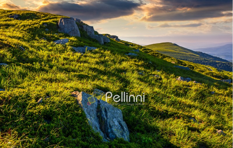 grassy meadow with boulders on mountain slope at sunrise. beautiful mountainous landscape background