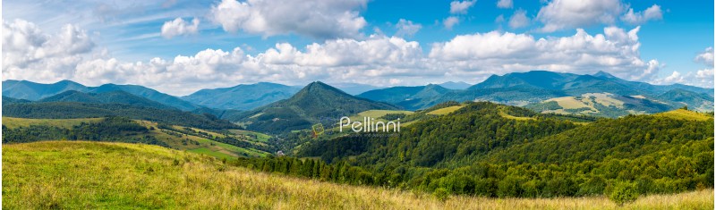 panorama of a beautiful landscape. grassy meadows and forested hills in early autumn. mountain ridge in the distance beneath a blue sky with clouds