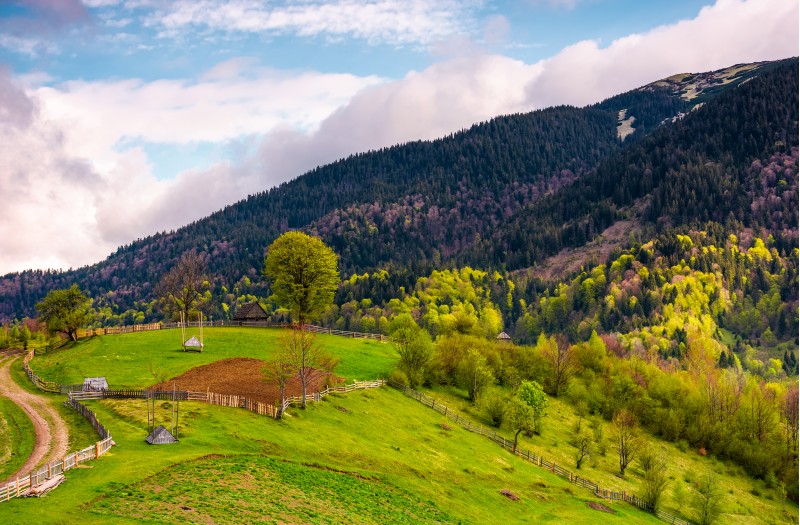 grassy rural hill in mountains. lovely agricultural scenery with country road, wooden fence and sheds in springtime. 