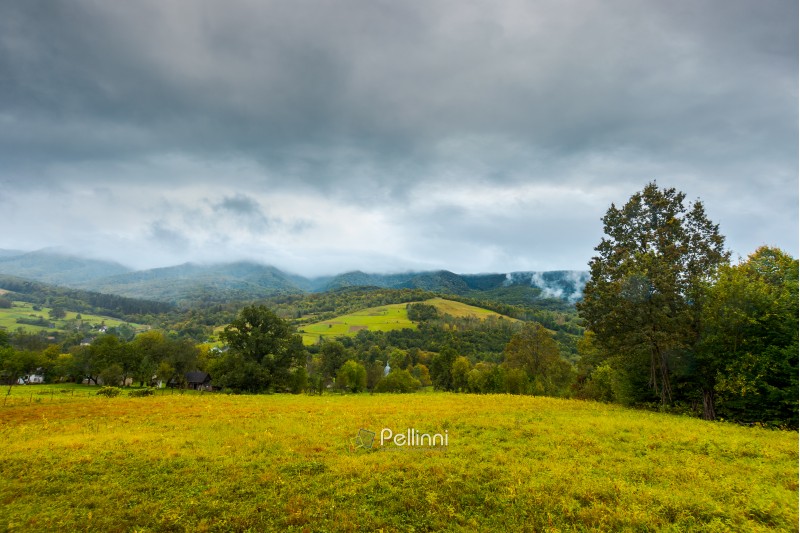 grassy rural meadow in mountains. rainy september weather. distant ridge in clouds and haze