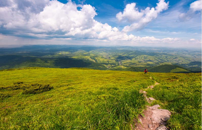 grassy slope of Pikui mountain in summer time. beautiful landscape of Carpathian mountains. Valley with rolling hill view from above