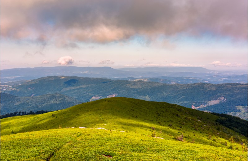 grassy slopes and boulders of mountain ridge in afternoon. beautiful summer scenery of the Runa mountain of Ukrainian Carpathians