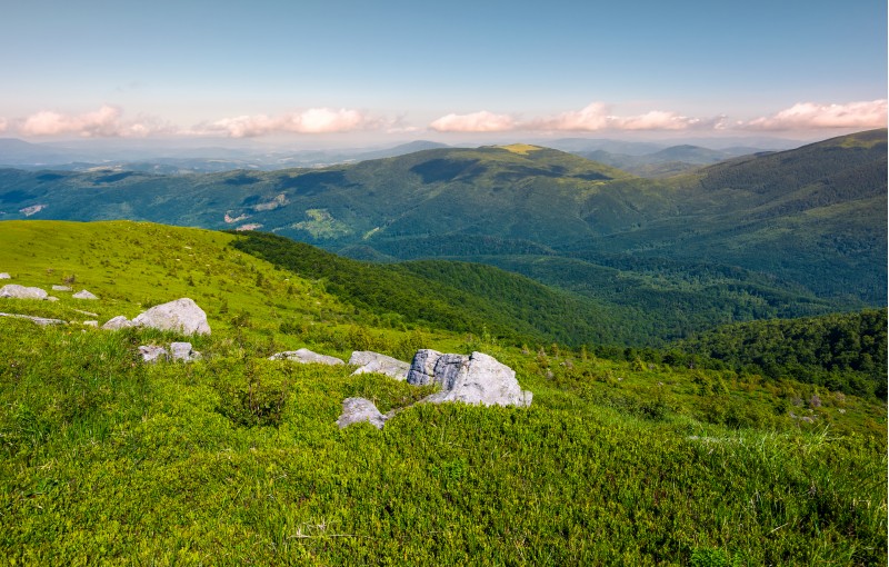 grassy slopes and boulders of mountain ridge in afternoon. beautiful summer scenery of the Runa mountain of Ukrainian Carpathians