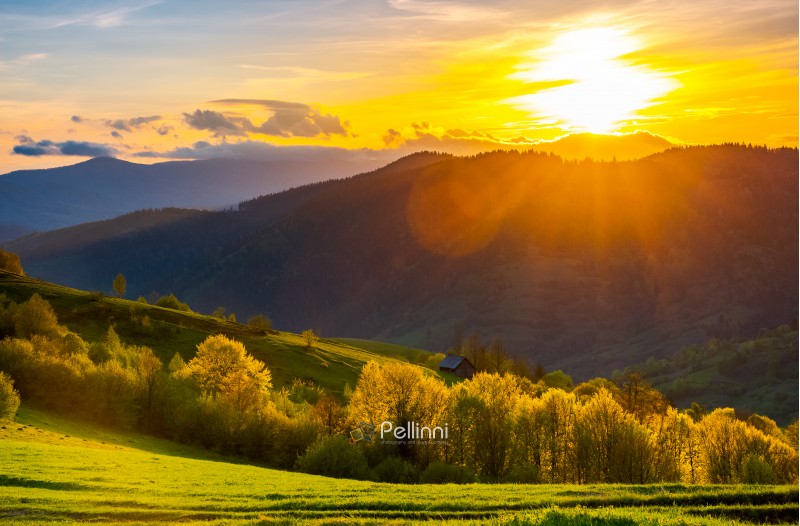 great sunset in Carpathian mountains. beautiful springtime landscape. forest on grassy hills back lit. abandoned woodshed in shade behind the forest