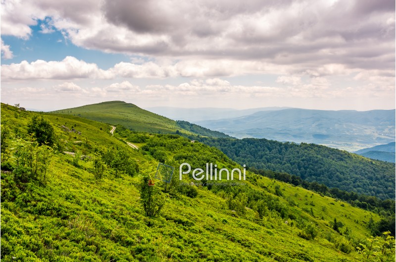 green grassy slope of Runa mountain ridge. Gorgeous landscape of Ukrainian Carpathians on cloudy summer day.