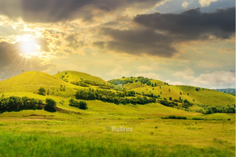 green hill in summer landscape at sunset in evening light. beautiful countryside scenery.  tilt-shift and motion blur effect applied.