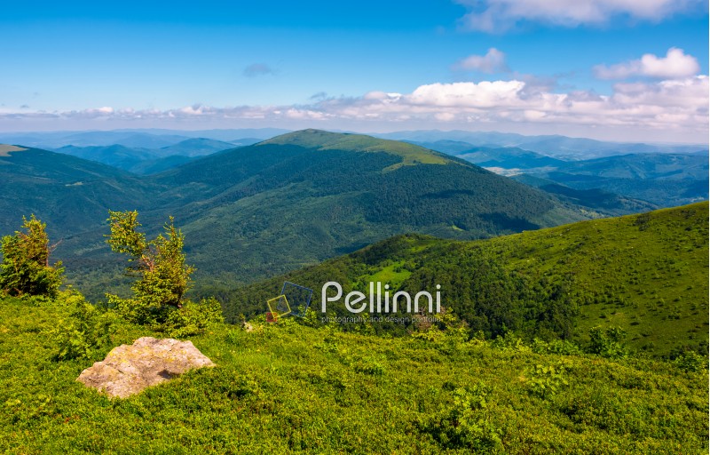 green hill of polonina Runa in summer. Fine weather with some clouds on a blue sky in mountainous landscape of Carpathian region