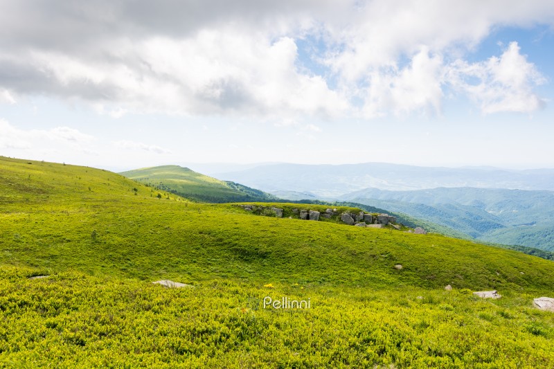 green meadows of carpathian mountain landscape. alpine nature scenery with stones among lush grass on rolling hills beneath a blue sky with clouds. summer vacations in ukraine