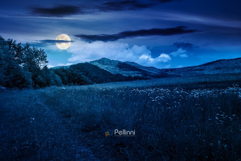 green mountain field at night. full moon over countryside summertime landscape with deciduous forest on the grassy hill. cloudy sky. mysterious nature concept. open view for rural life background