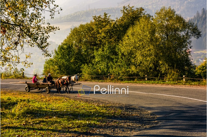 Volovets, Ukraine - SEP 30, 2016: gypsy family ride a horse cart on serpentine in countryside area. bright autumnal sunrise in Carpathian mountains