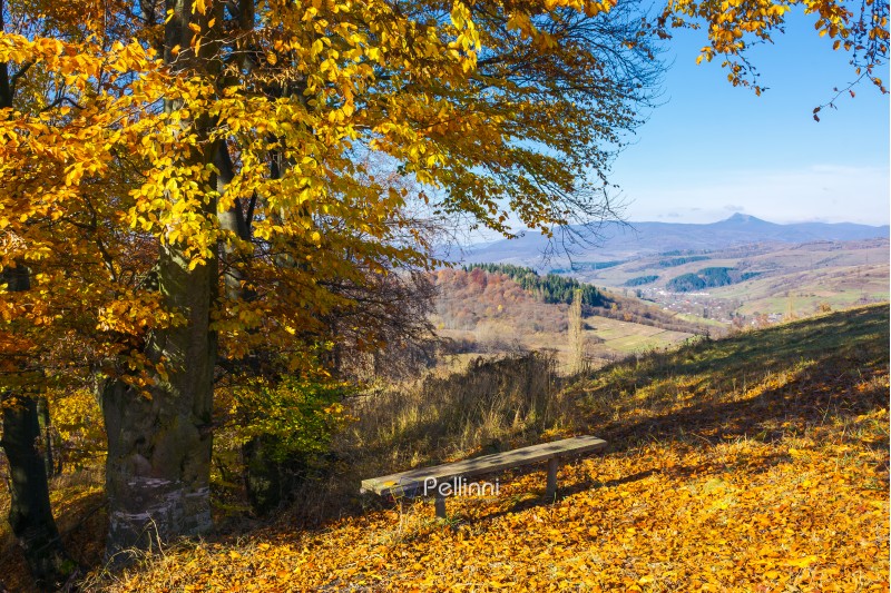 handmade wooden bench under the tree in fall colors. beautiful view in to the distant mountain. wonderful autumn scenery