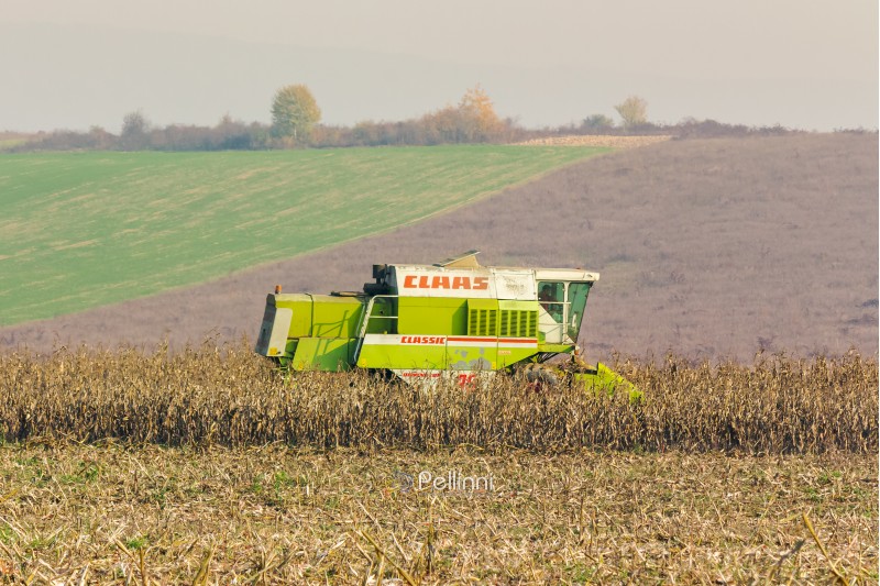 Shyroke, Ukraine - NOV 11, 2015:  harvester in the field removes the corn stalks in late fall haze day