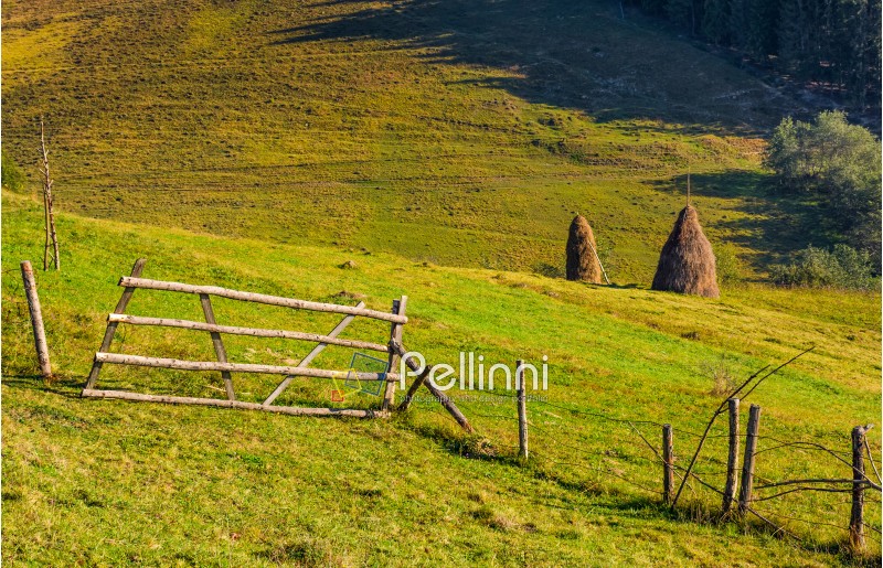 hay stacks behind the fence on rural field. lovely Carpathian countryside landscape in early autumn morning