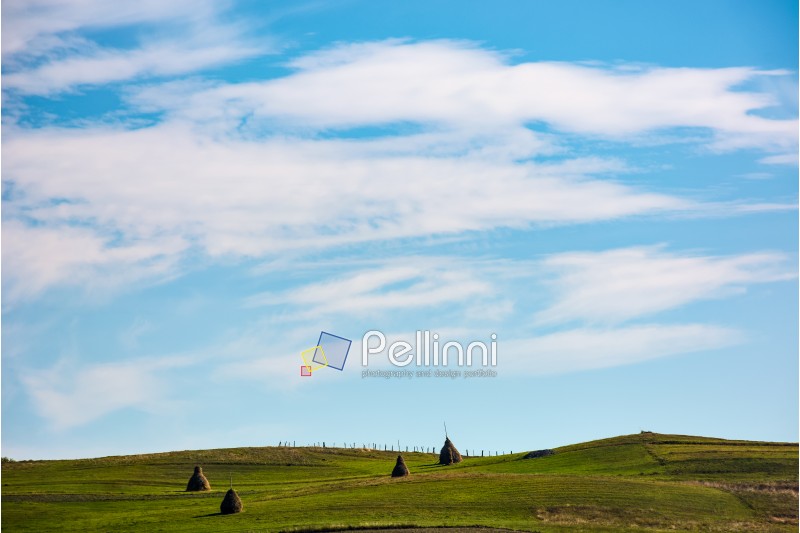 hay stacks on grassy hills under the beautiful cloudy blue sky. lovely Carpathian countryside landscape in early autumn morning