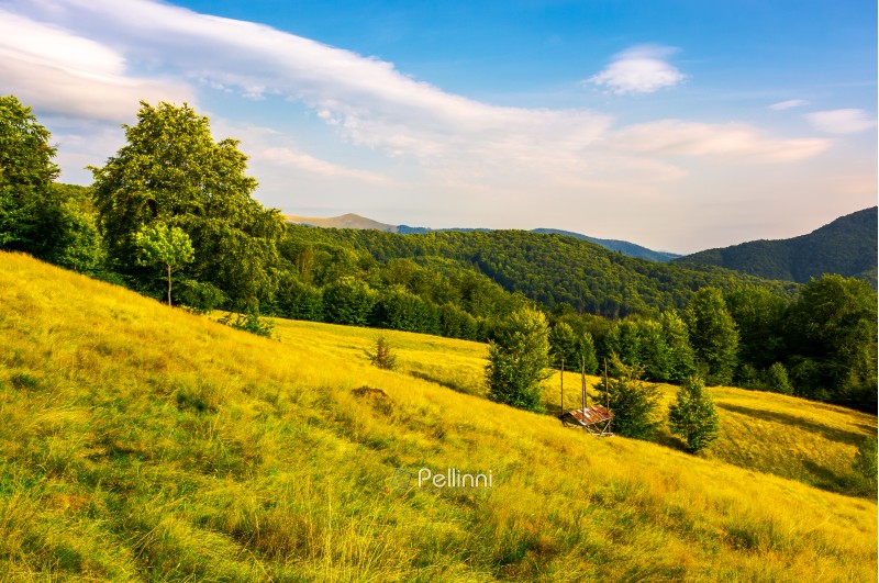 hayshed on a meadow among the beech forest. beautiful evening scenery of Carpathian mountains Ukraine. Svydovets mountain ridge in the far distance under the blue summer sky with some fluffy clouds