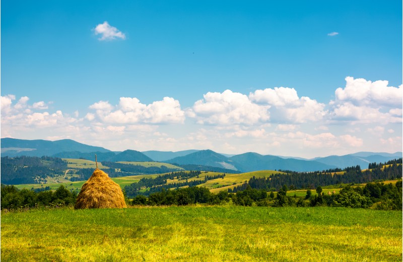 haystack on a grassy field on top of a hill. beautiful mountainous countryside scenery in summer