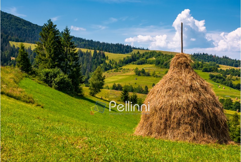 haystack on a grassy hill on a summer day. beautiful scenery in Carpathian