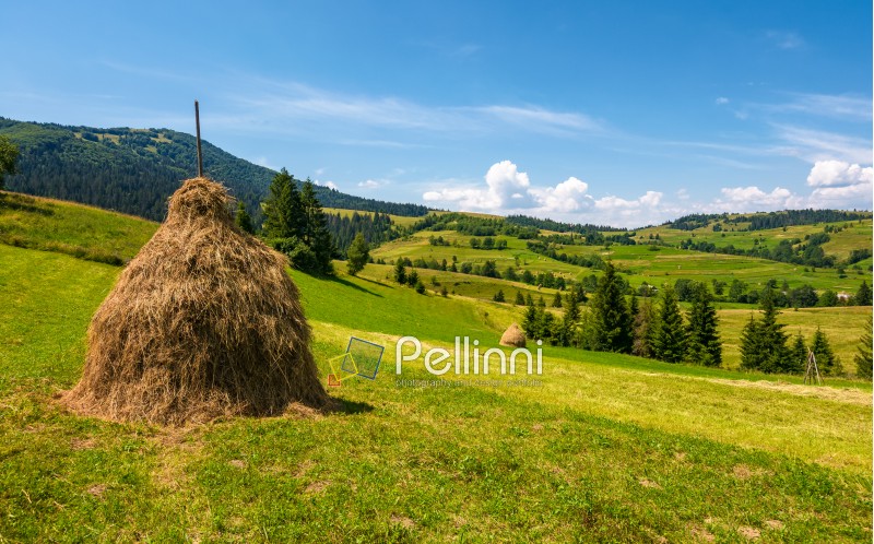 haystack on a grassy rural field in mountains. beautiful countryside landscape with forested hills on a fine summer day