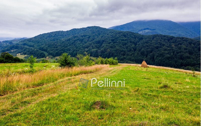 haystack on rural field in mountains. lovely scenery of Carpathian countryside
