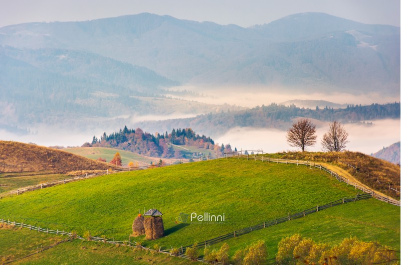 haystack on rural fields in foggy mountainous area. beautiful countryside landscape in autumn. forested hill and valley in fog behind the nearest knoll on a bright forenoon